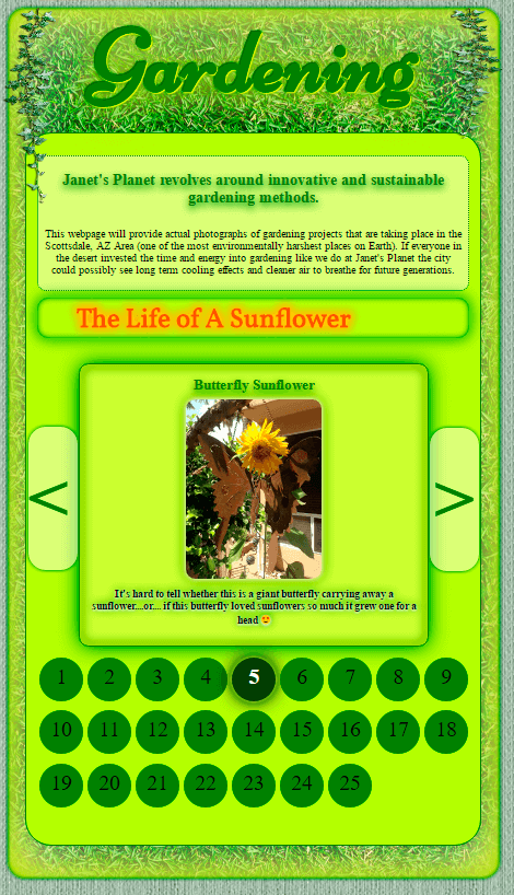 Butterfly Sunflower ~ Janet's Planet Gardening