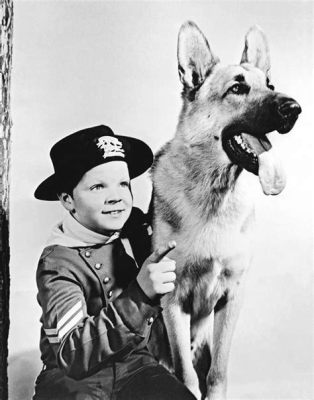 The Adventures of Rin Tin Tin! Bir Alman Çobanı Yavrusunun İhtişamlı Maceraları ve Vahşi Batı'nın Sırlarla Dolu Dünyası!